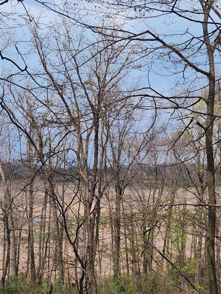 Photo 3 of Land for sale at 17708 Thunder Rd, New Buffalo, MI 49117 | MLS# 70525880 | Listing updated on 2026-09-13