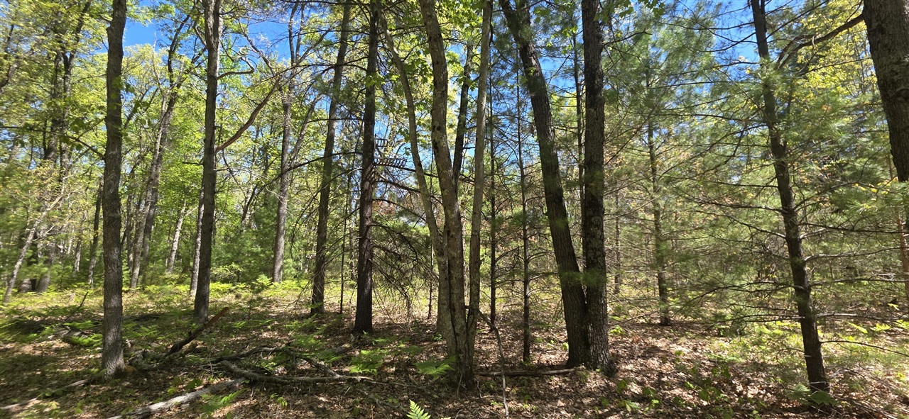 Photo 2 of Land for sale at V/l E Koenig Rd, Free Soil, MI 49411 | MLS# 70525892 | Listing updated on 2026-09-21