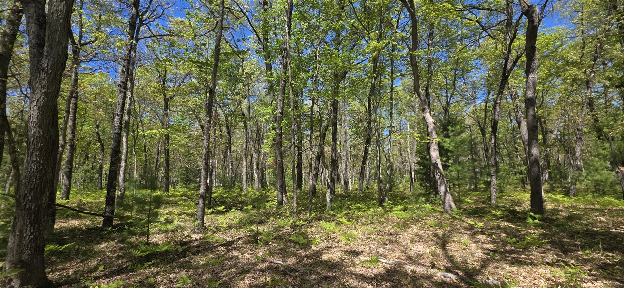 Photo 3 of Land for sale at V/l E Koenig Rd, Free Soil, MI 49411 | MLS# 70525892 | Listing updated on 2026-09-21