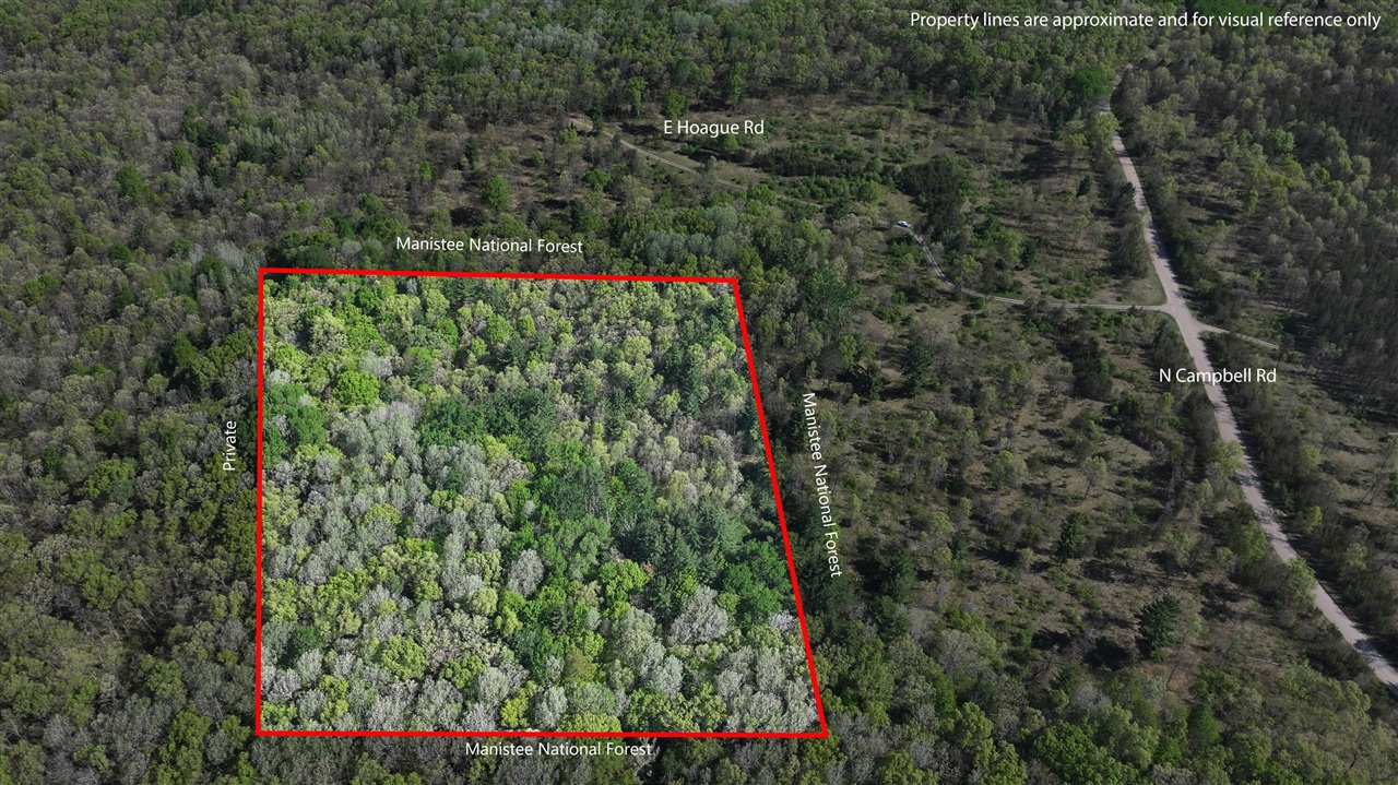 Photo 2 of Land for sale at V/l E Hoague Rd, Free Soil, MI 49411 | MLS# 70525902 | Listing updated on 2026-09-21