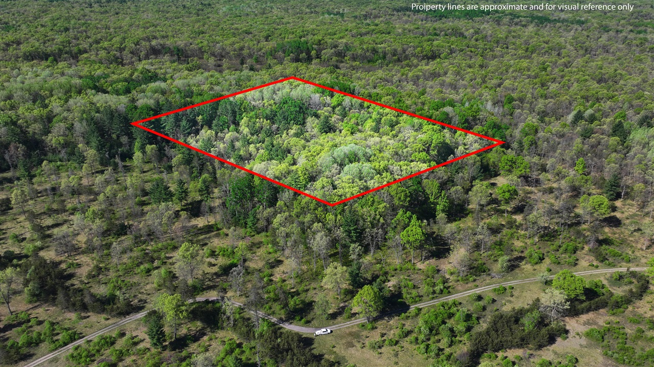 Photo 3 of Land for sale at V/l E Hoague Rd, Free Soil, MI 49411 | MLS# 70525902 | Listing updated on 2026-09-21
