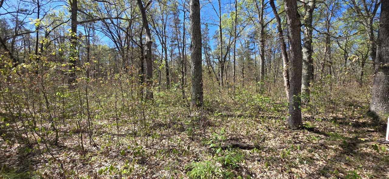 Photo 2 of Land for sale at E Hoague Rd, Free Soil, MI 49411 | MLS# 70525920 | Listing updated on 2026-09-21