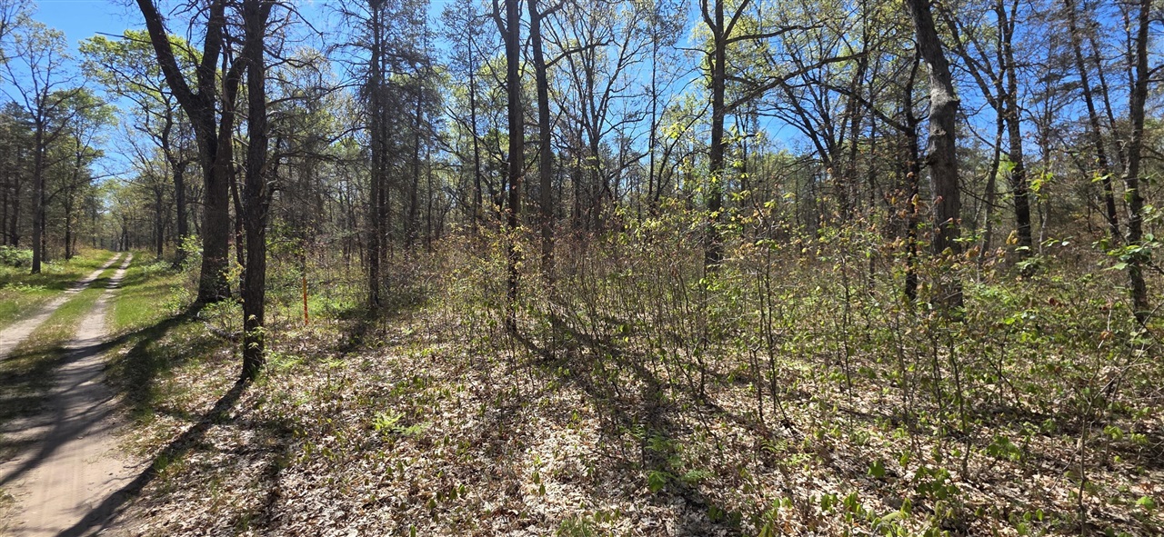 Photo 3 of Land for sale at E Hoague Rd, Free Soil, MI 49411 | MLS# 70525920 | Listing updated on 2026-09-21