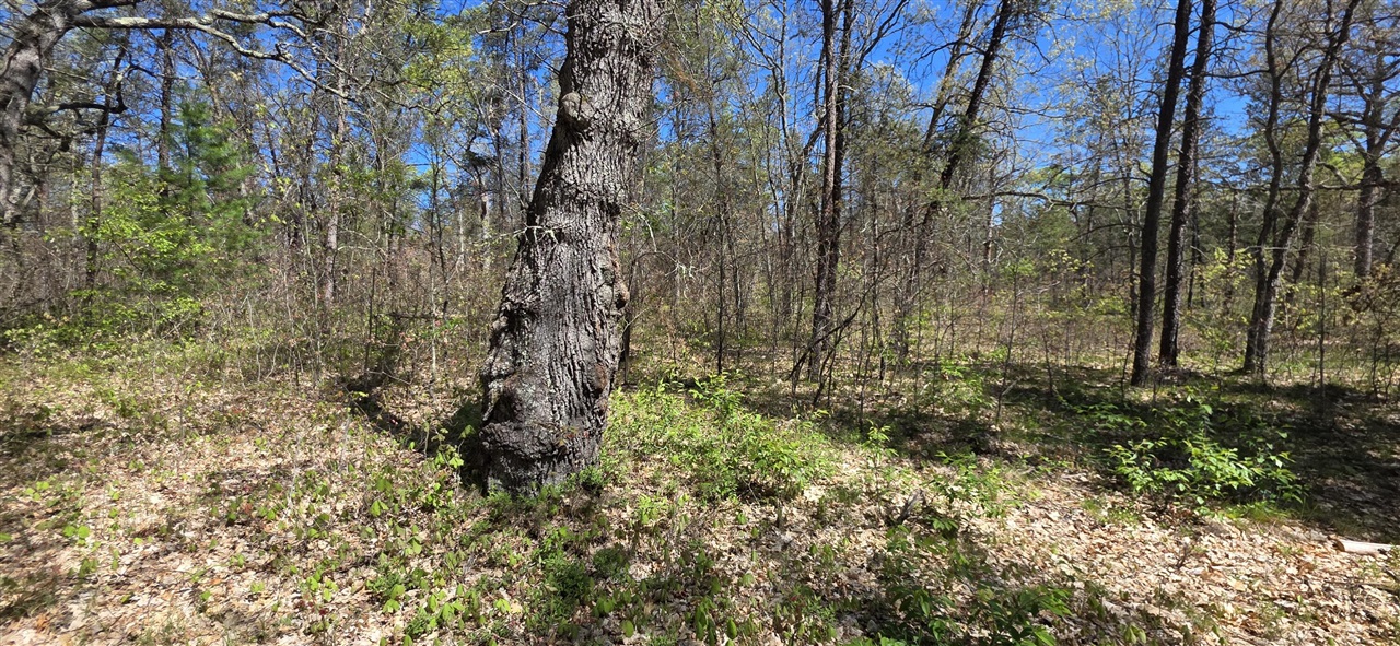 Photo 3 of Land for sale at E Hoague Rd, Free Soil, MI 49411 | MLS# 70525920 | Listing updated on 2026-09-21