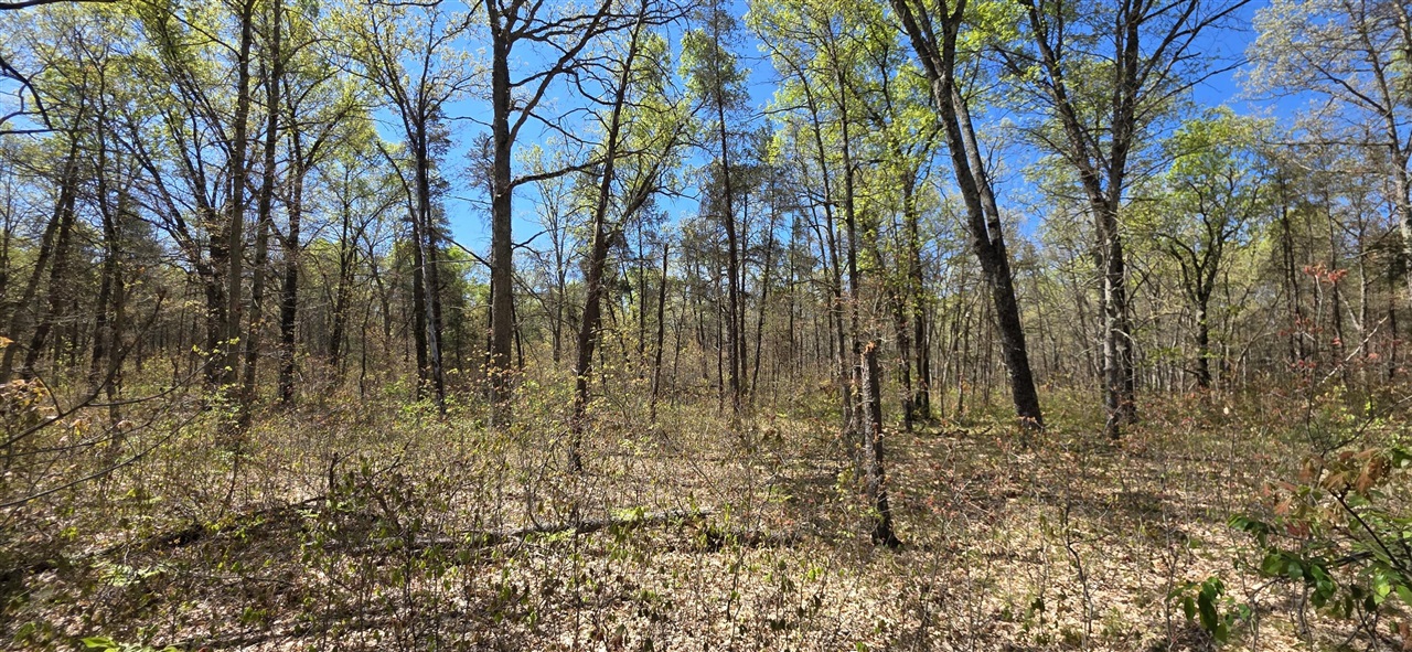Photo 4 of Land for sale at E Hoague Rd, Free Soil, MI 49411 | MLS# 70525920 | Listing updated on 2026-09-21