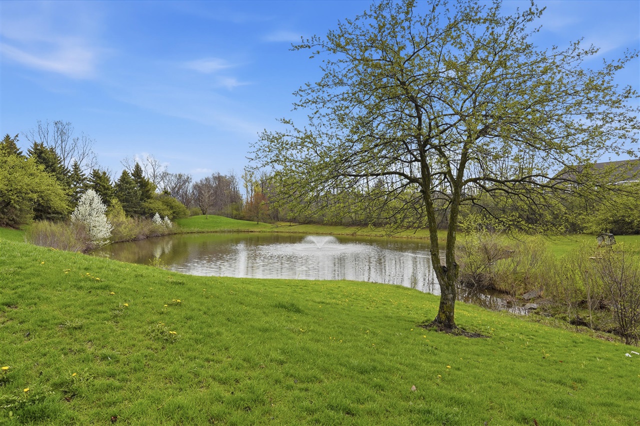 1307 Millbrook, Ann Arbor, MI, 48108-5918