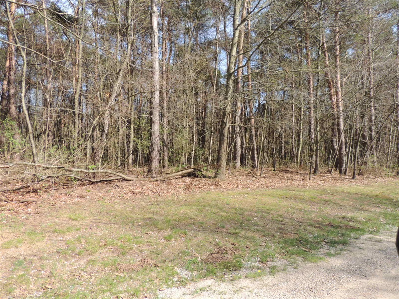 6342 Old Allegan Road, Saugatuck, MI, 49453-9431