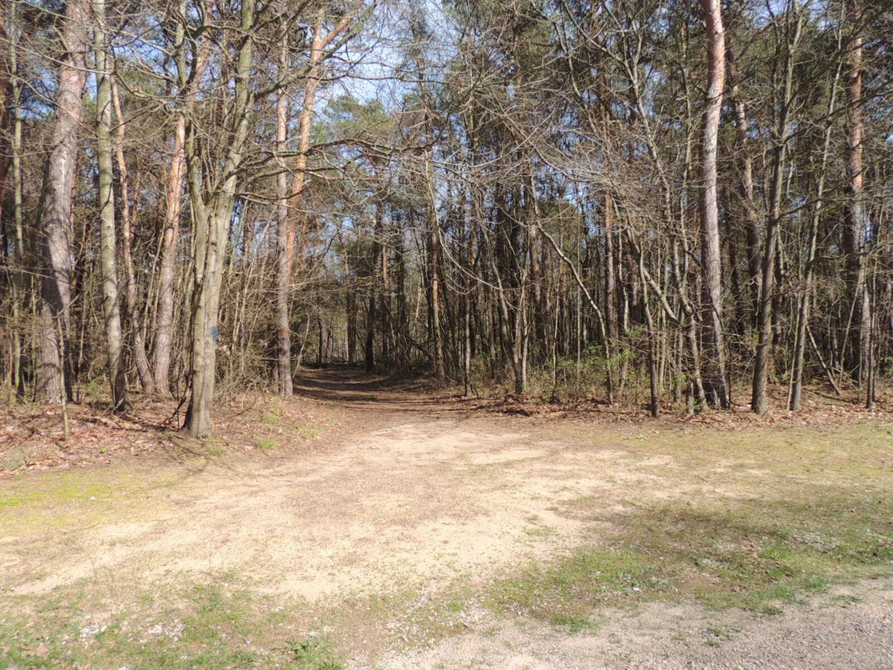 6342 Old Allegan Road, Saugatuck, MI, 49453-9431
