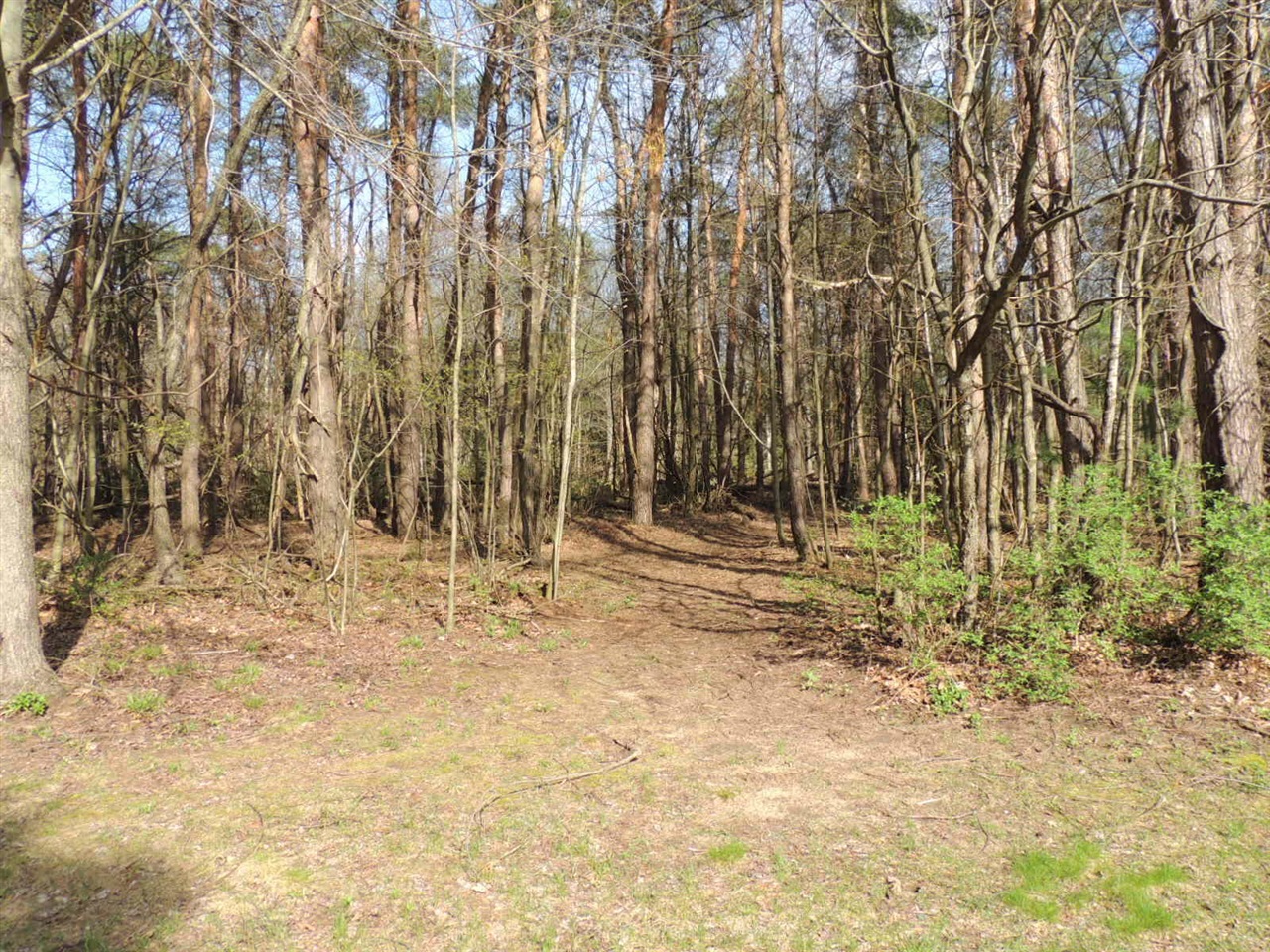 6342 Old Allegan Road, Saugatuck, MI, 49453-9431