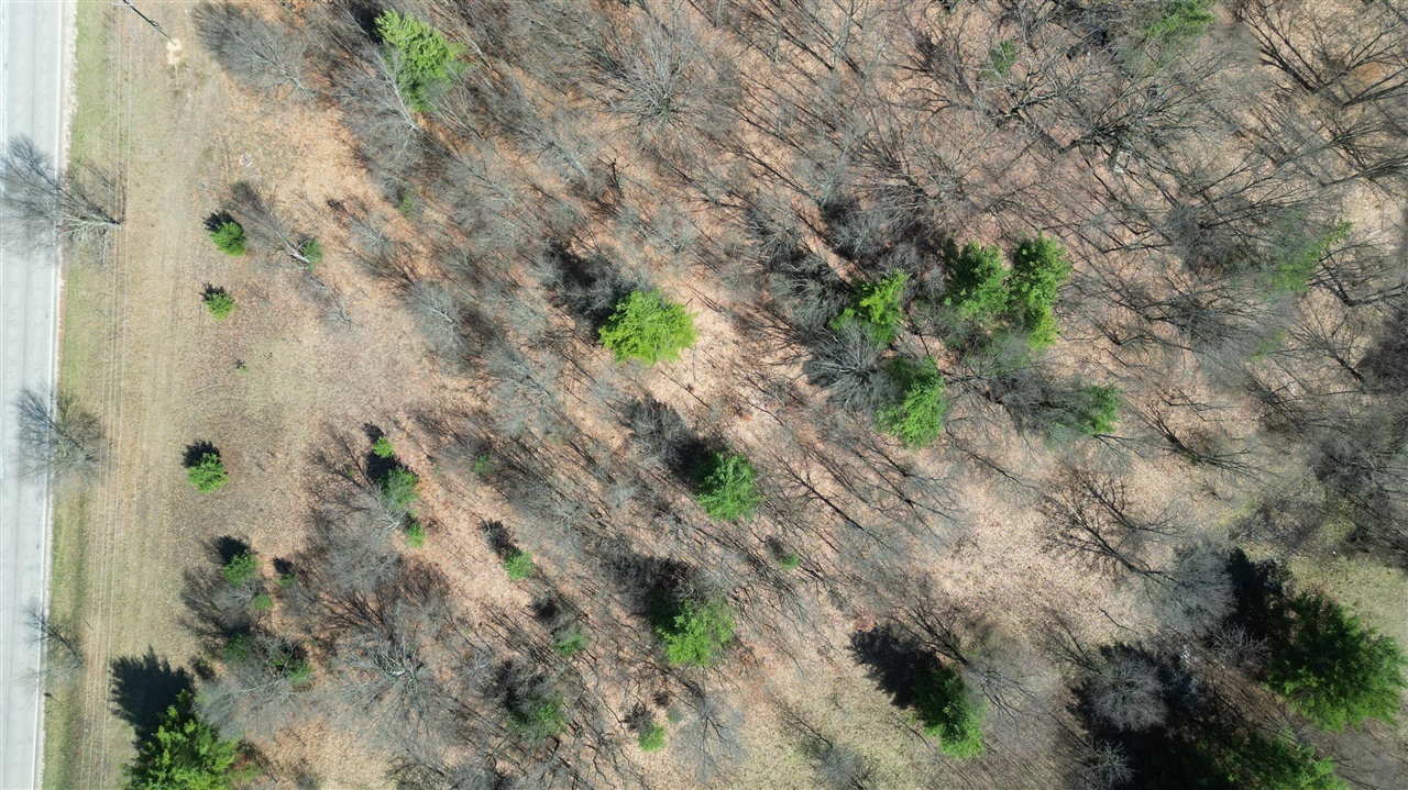 2730 W 3 Mile Road, White Cloud, MI, 49349