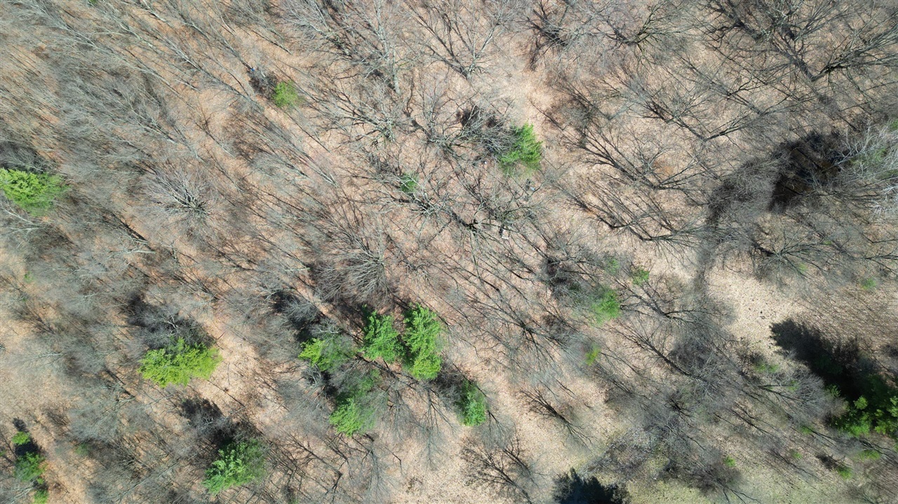 2730 W 3 Mile Road, White Cloud, MI, 49349