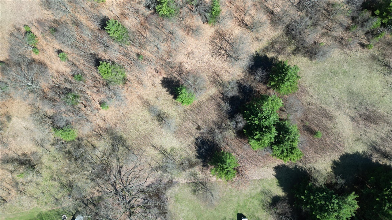 2730 W 3 Mile Road, White Cloud, MI, 49349