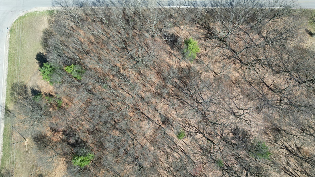 2730 W 3 Mile Road, White Cloud, MI, 49349