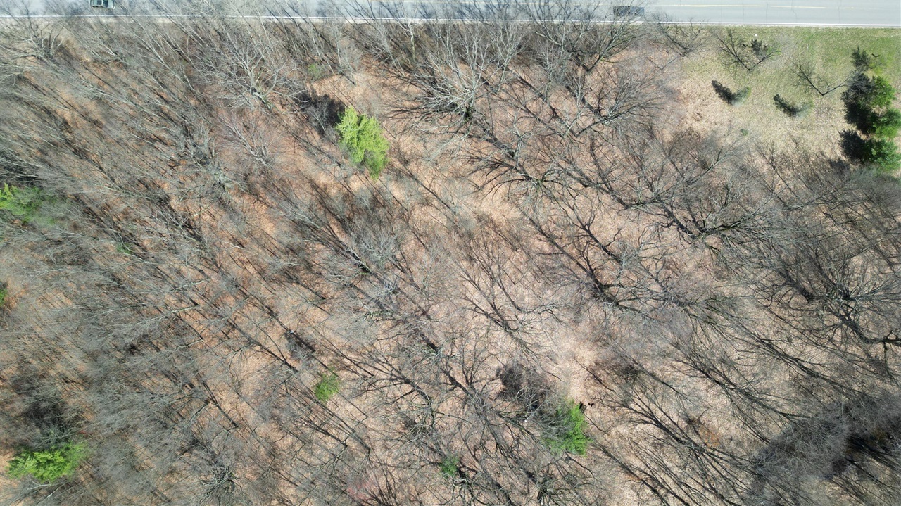 2730 W 3 Mile Road, White Cloud, MI, 49349