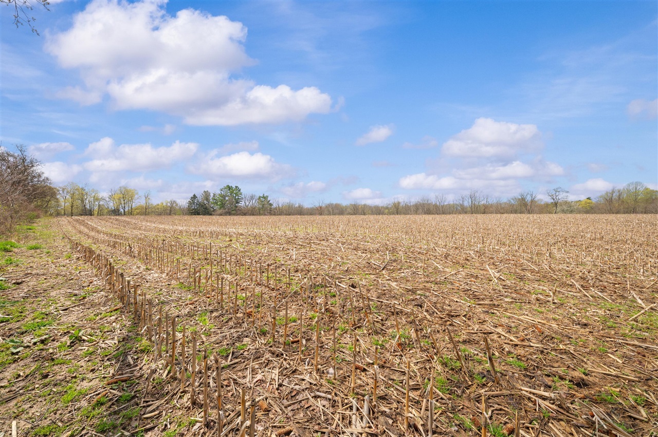 3rd image of Lot A Broceus School Rd, Buchanan, MI 49107 | MLS# 70526183