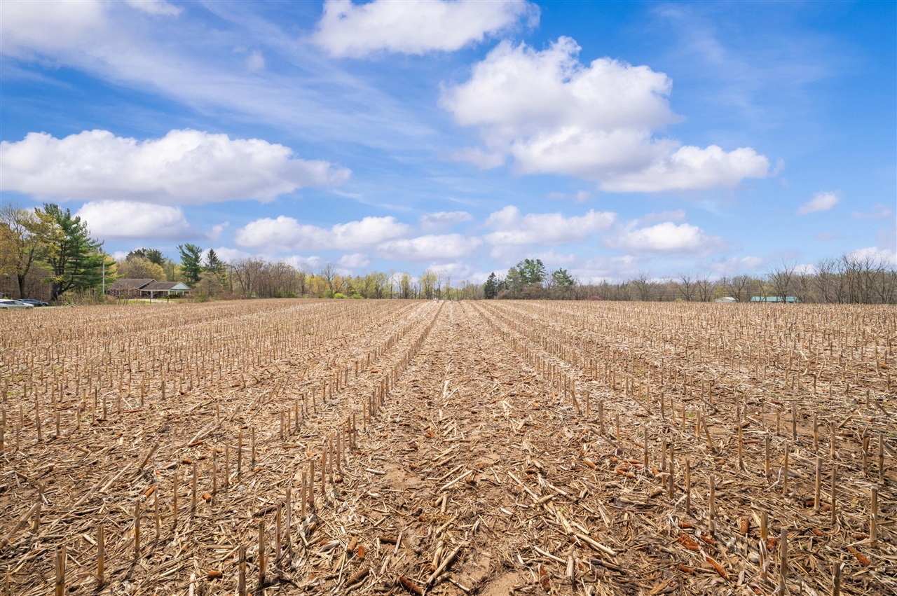 4th image of Lot A Broceus School Rd, Buchanan, MI 49107 | MLS# 70526183