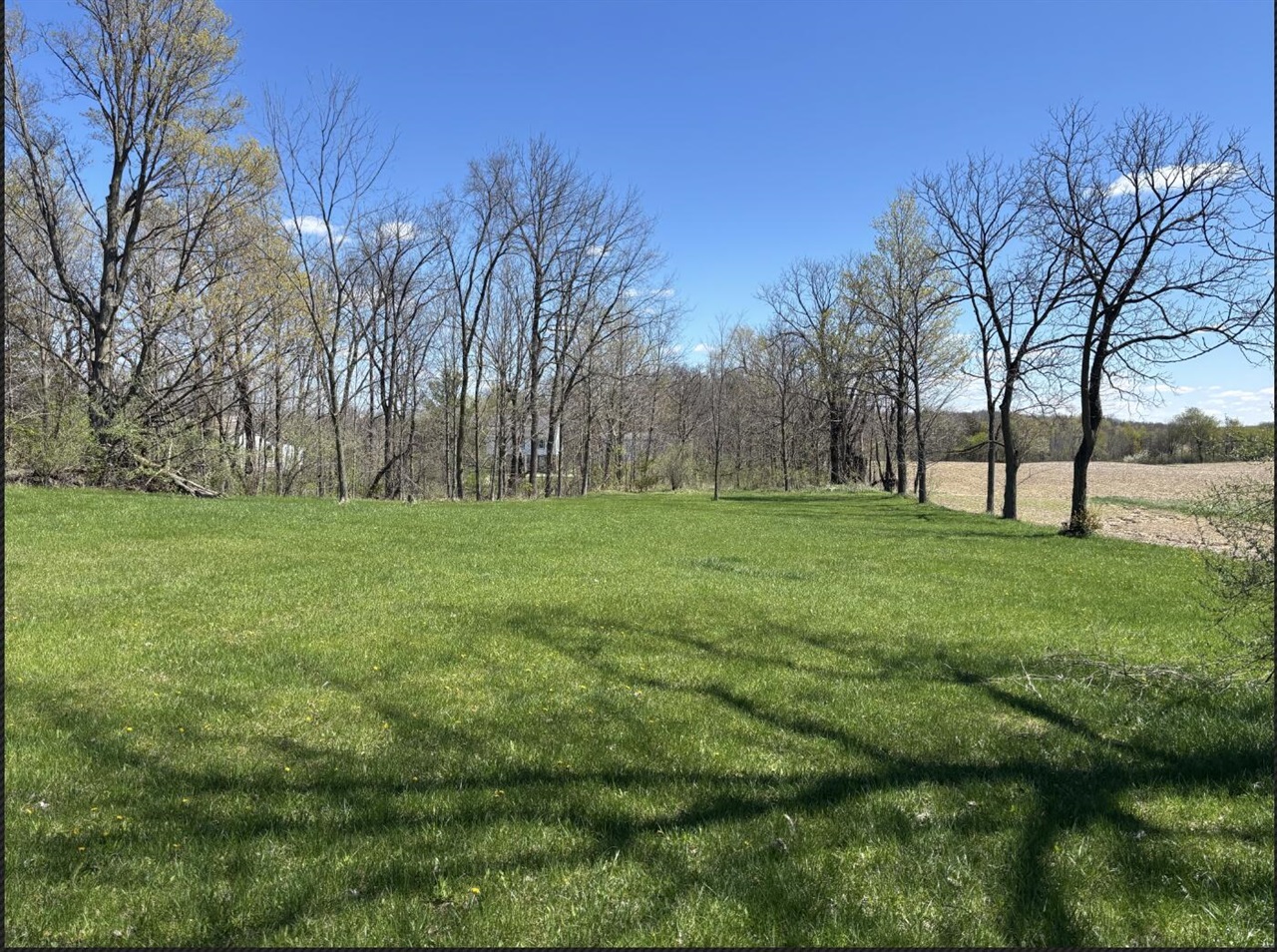 423 Fairview Avenue, Camden, MI, 49232