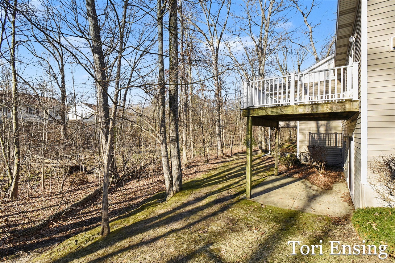 1421 Trail View Drive, Greenville, MI, 48838