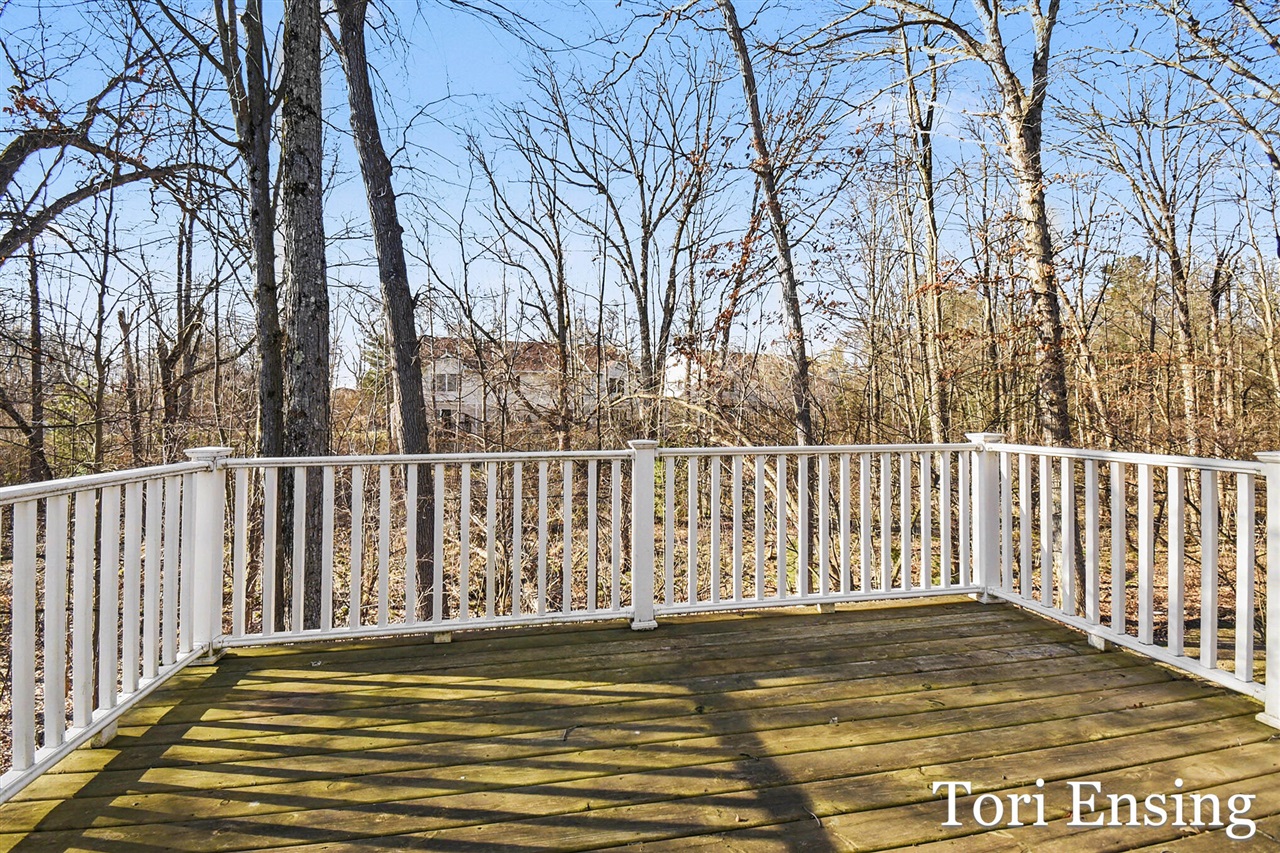 1421 Trail View Drive, Greenville, MI, 48838