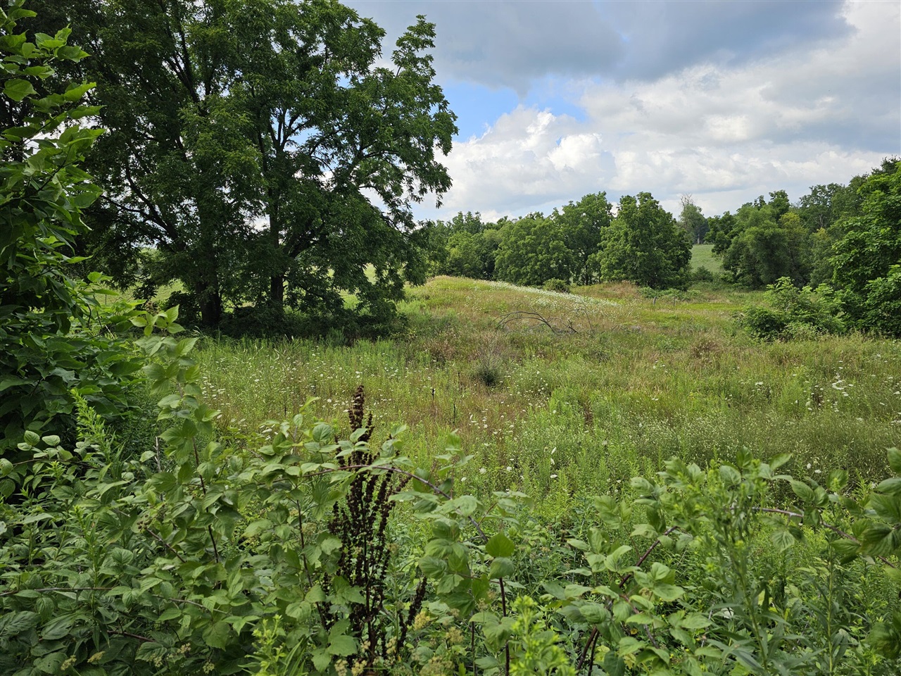 2nd image of 8475 Ross Rd, Muir, MI 48860 | MLS# 70526248