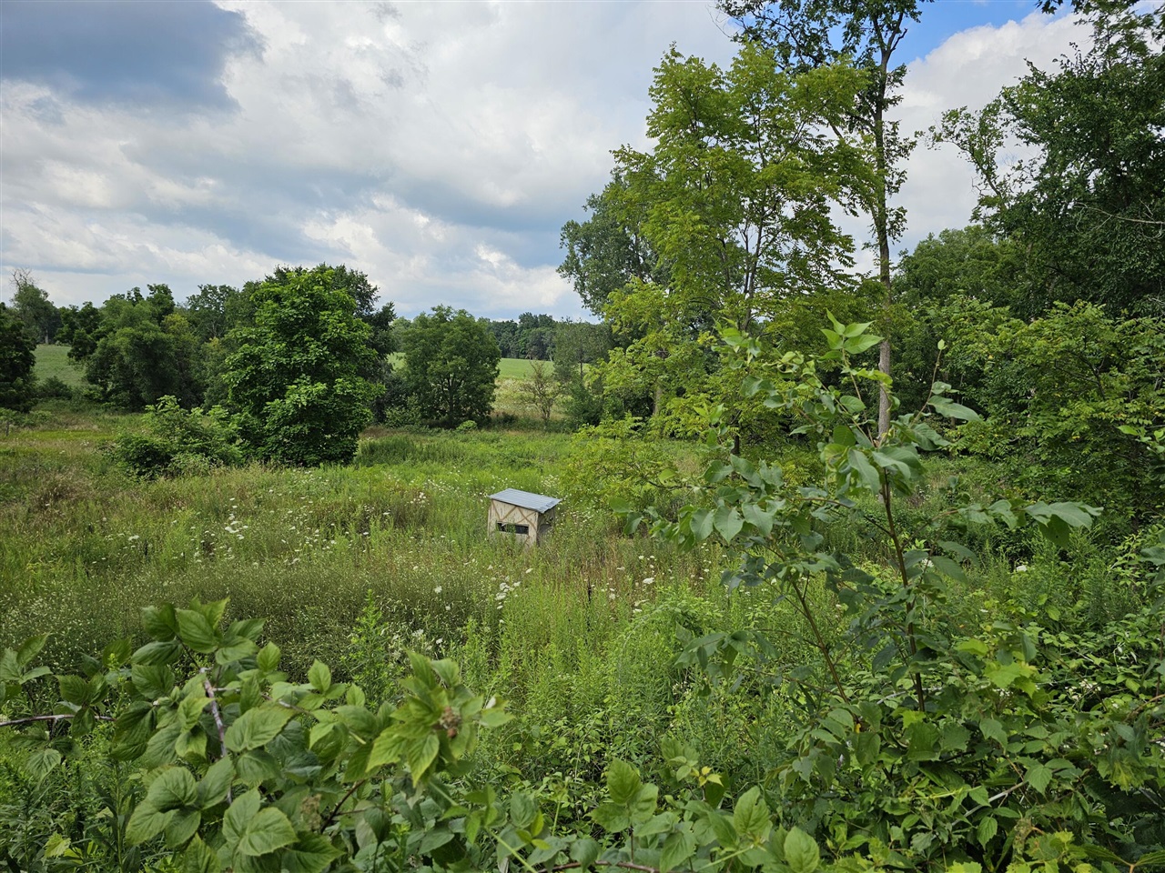 3rd image of 8475 Ross Rd, Muir, MI 48860 | MLS# 70526248