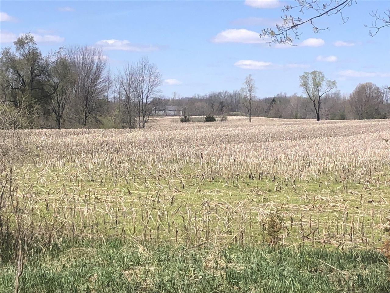 W Card, Reading, MI, 49274