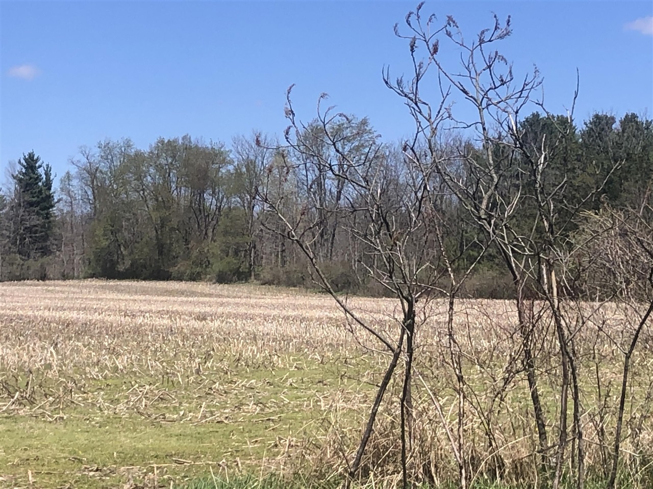 W Card, Reading, MI, 49274