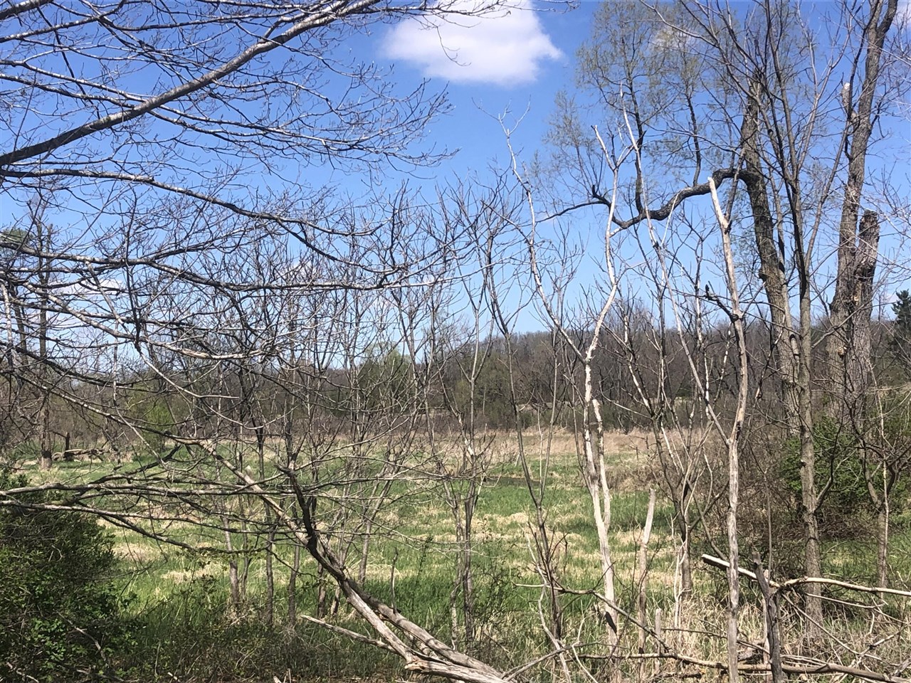 W Card, Reading, MI, 49274