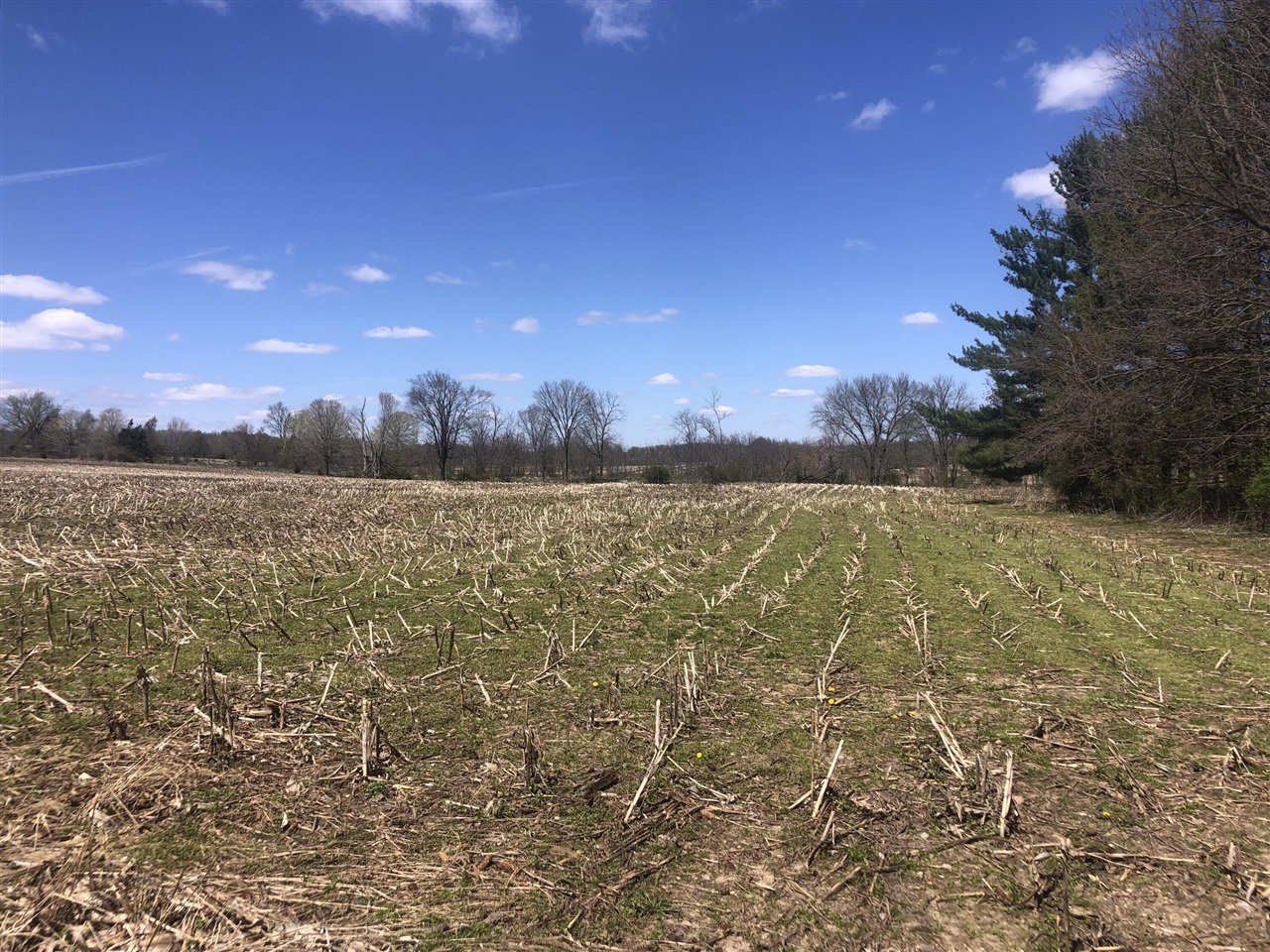 W Card, Reading, MI, 49274