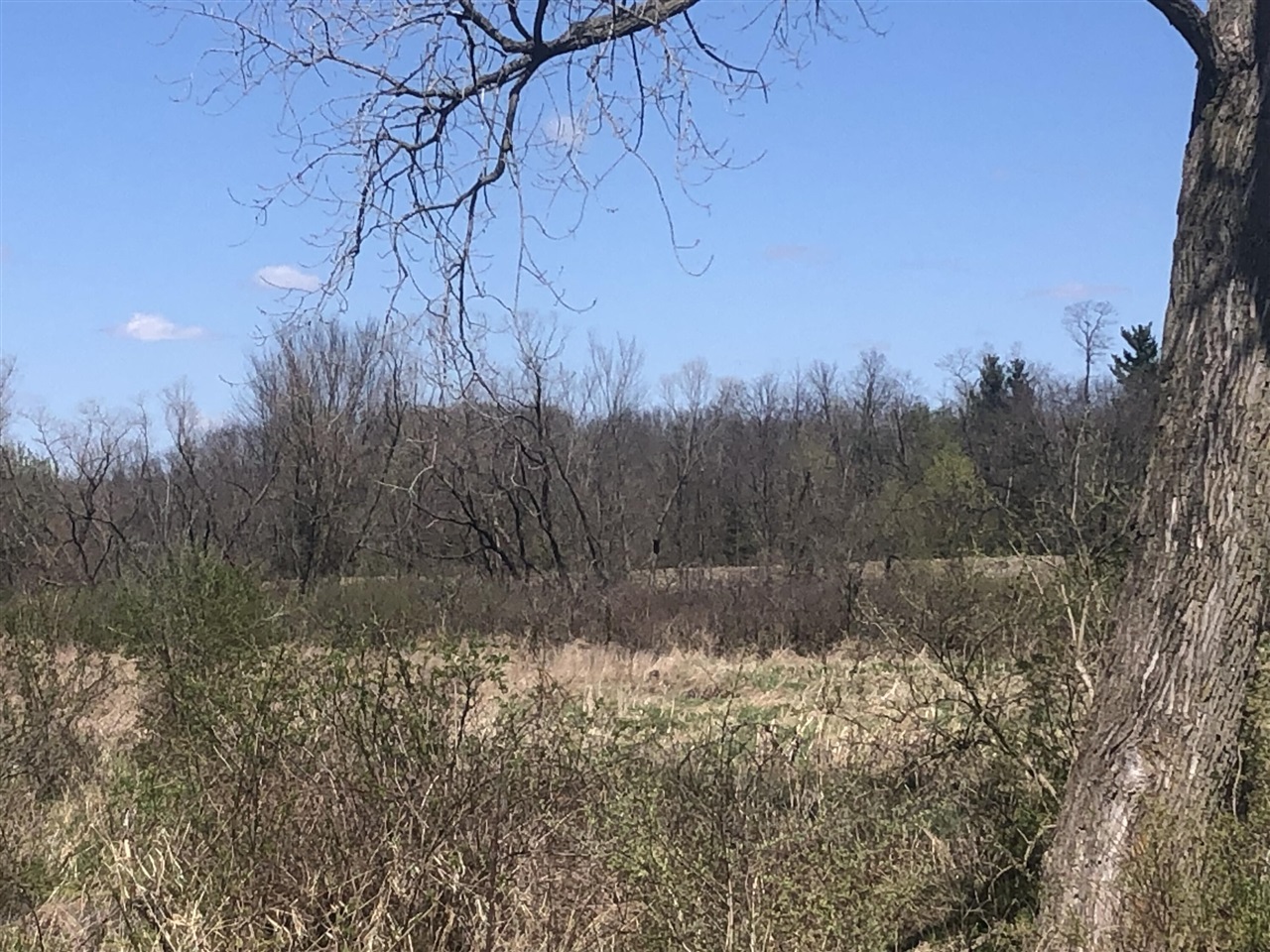 W Card, Reading, MI, 49274