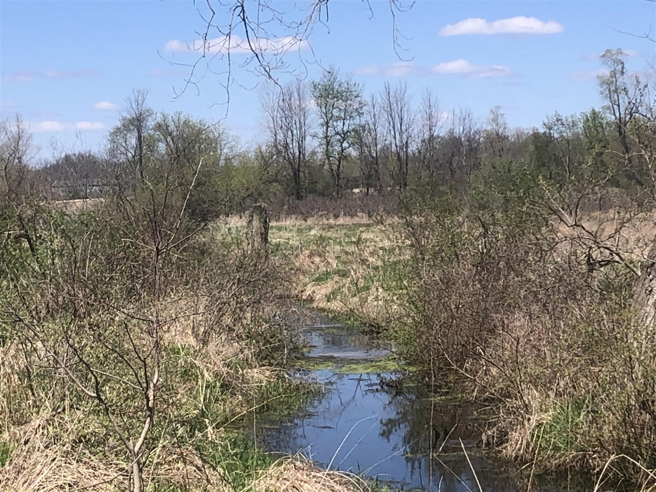 W Card, Reading, MI, 49274