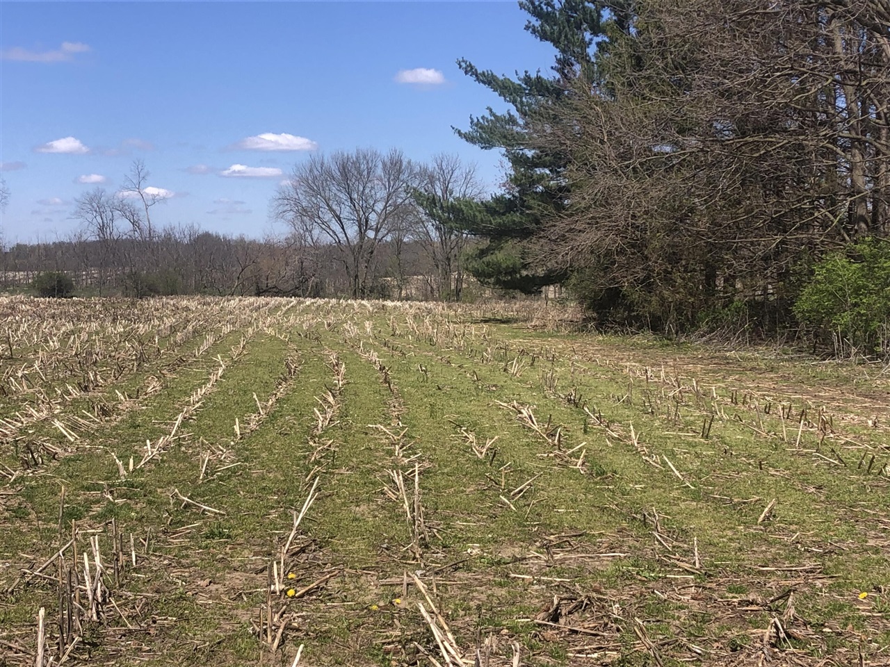 W Card, Reading, MI, 49274