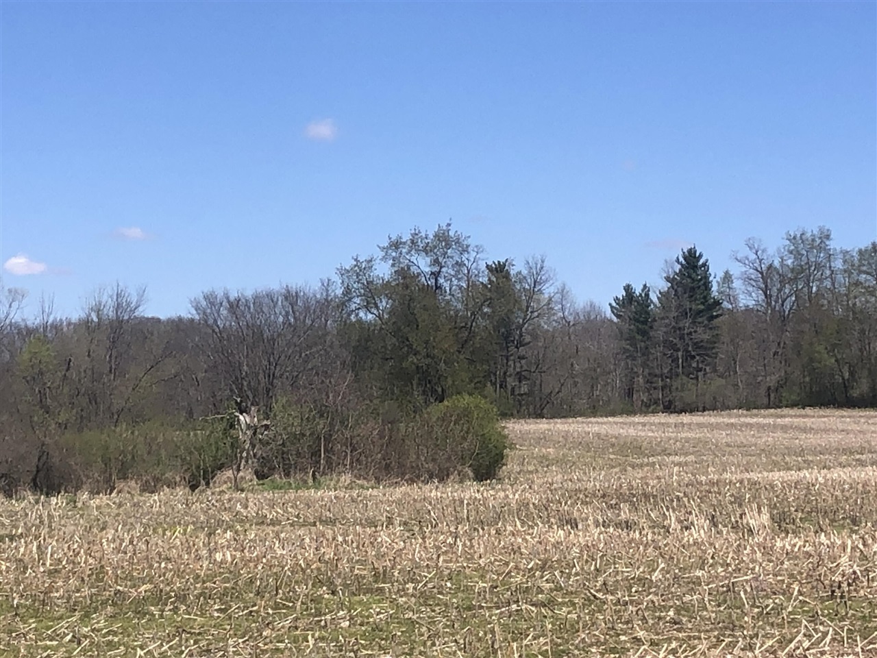 W Card, Reading, MI, 49274