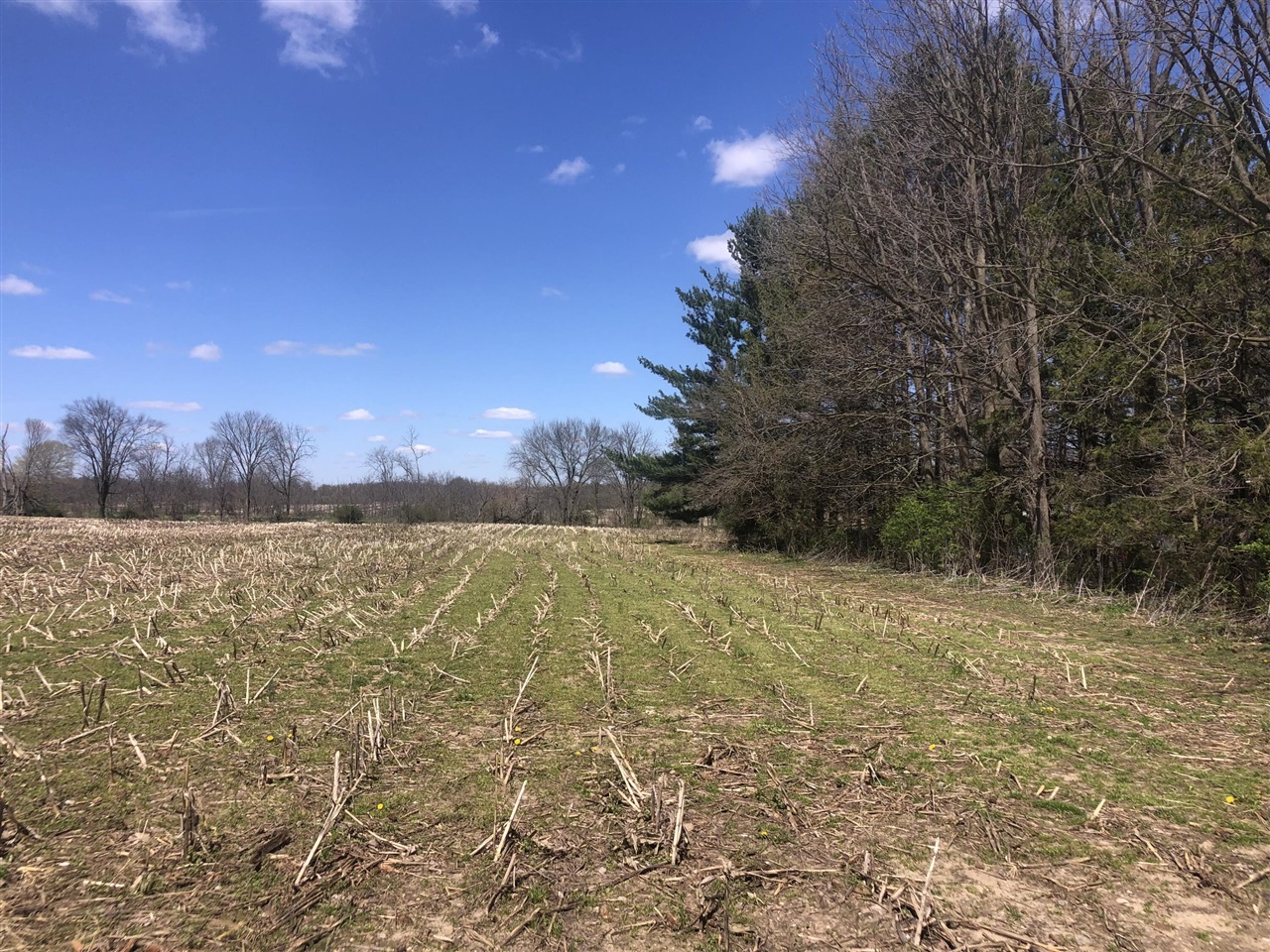 W Card, Reading, MI, 49274