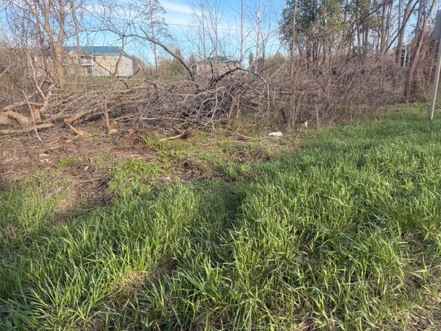 0 S Mason Drive, Grant, MI, 49327