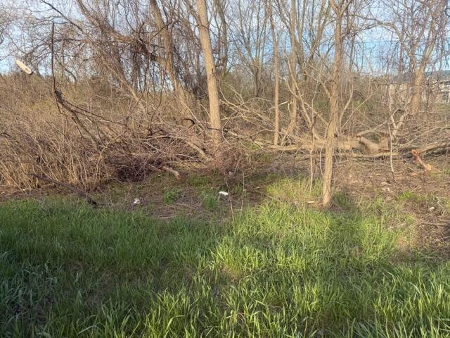 0 S Mason Drive, Grant, MI, 49327