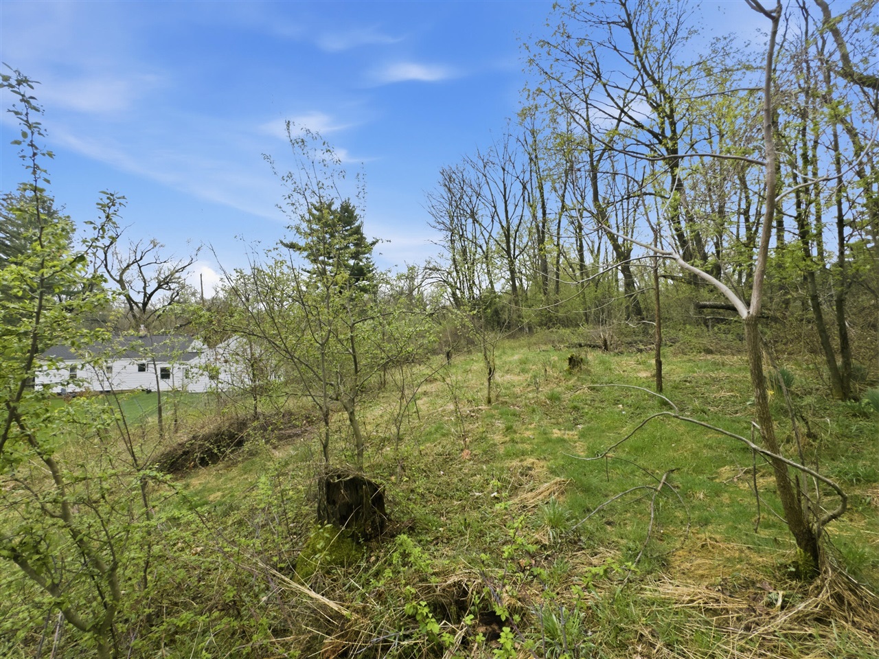 3109 Courtlandt Avenue, Kalamazoo, MI, 49004