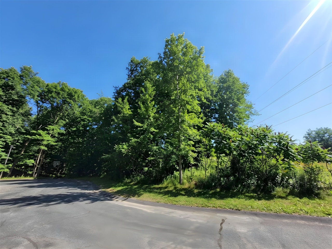 Photo 3 of Land for sale at 7336 Pin Oak Cir, Augusta, MI 49012 | MLS# 70526565 | Listing updated on 2026-09-14