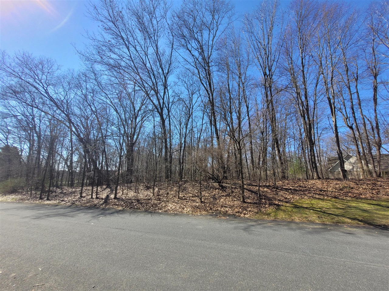 V/L Stoney Creek Drive, Augusta, MI, 49012