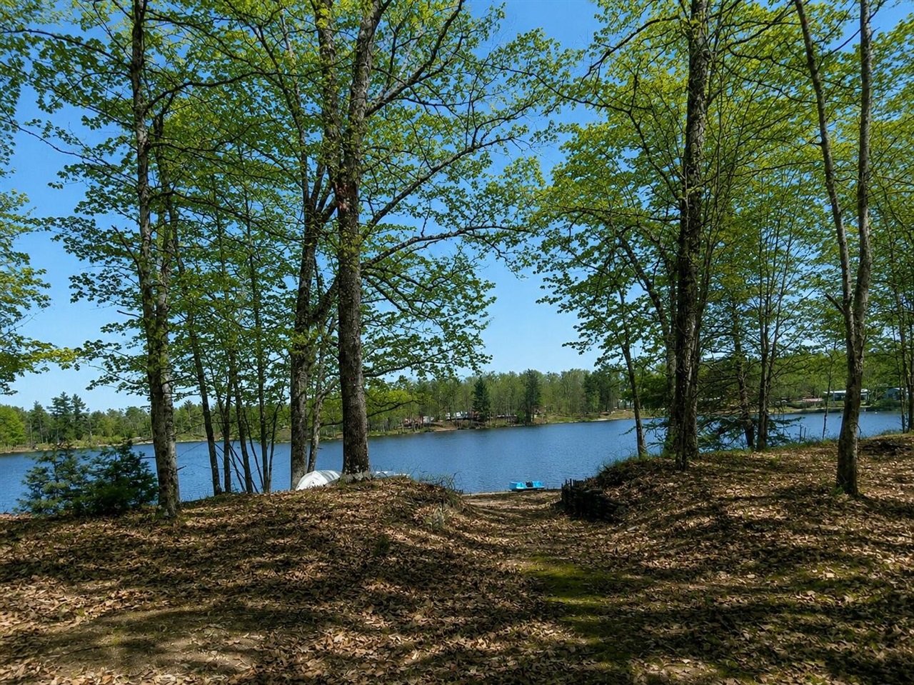 1st image of 10746 N Beaver Trl, Bitely, MI 49309 | MLS# 70526645