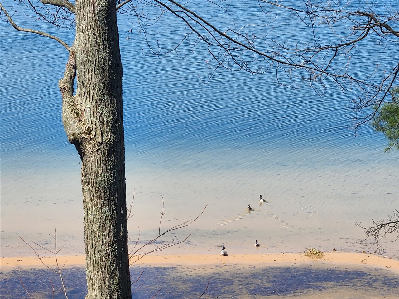 10962 S Minising Court, Baldwin, MI, 49304-8701