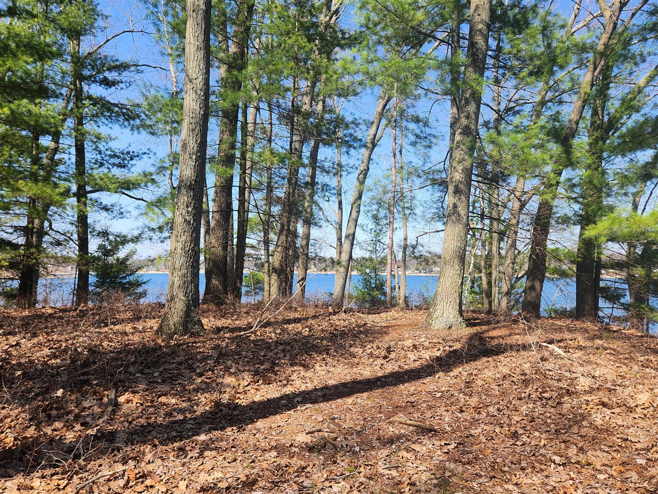 10962 S Minising Court, Baldwin, MI, 49304-8701