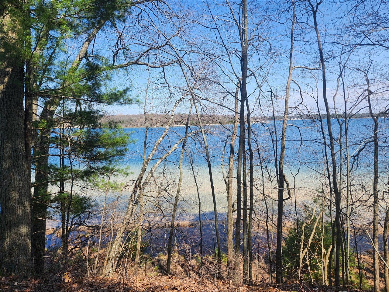 10962 S Minising Court, Baldwin, MI, 49304-8701