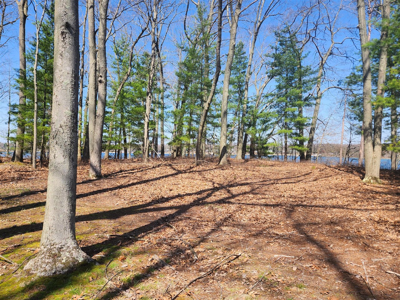 10962 S Minising Court, Baldwin, MI, 49304-8701