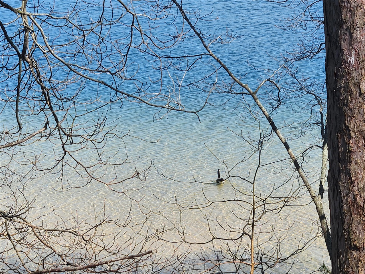 10962 S Minising Court, Baldwin, MI, 49304-8701