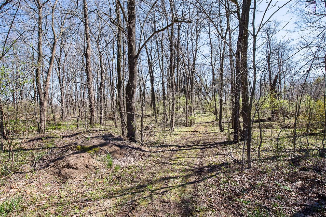 17275 Garvey Road, Chelsea, MI, 48118-9328