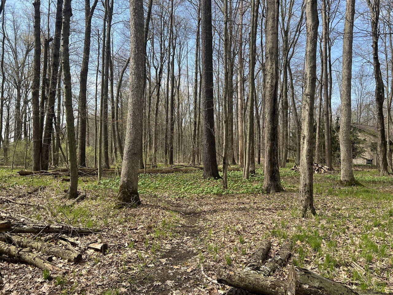 Waterloo Munith Road, Grass Lake, MI, 49240-49240