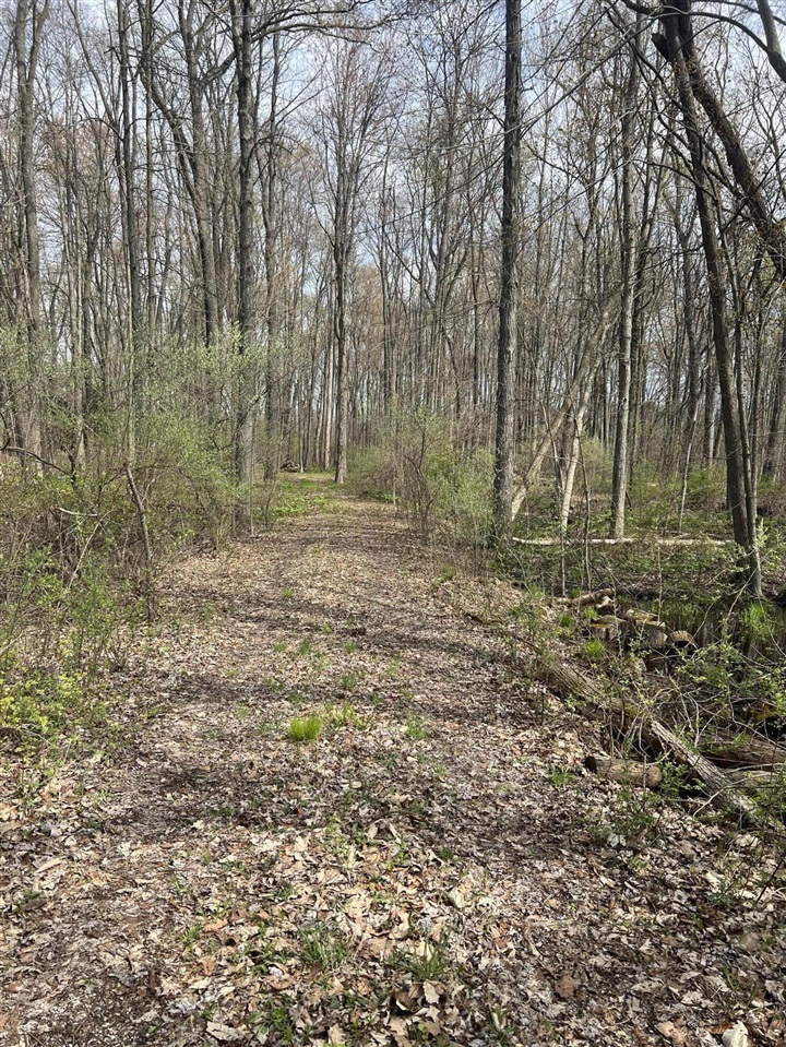 Waterloo Munith Road, Grass Lake, MI, 49240-49240