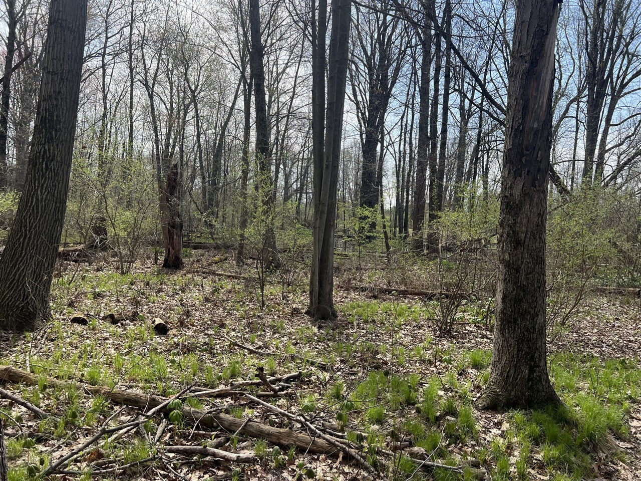 Waterloo Munith Road, Grass Lake, MI, 49240-49240