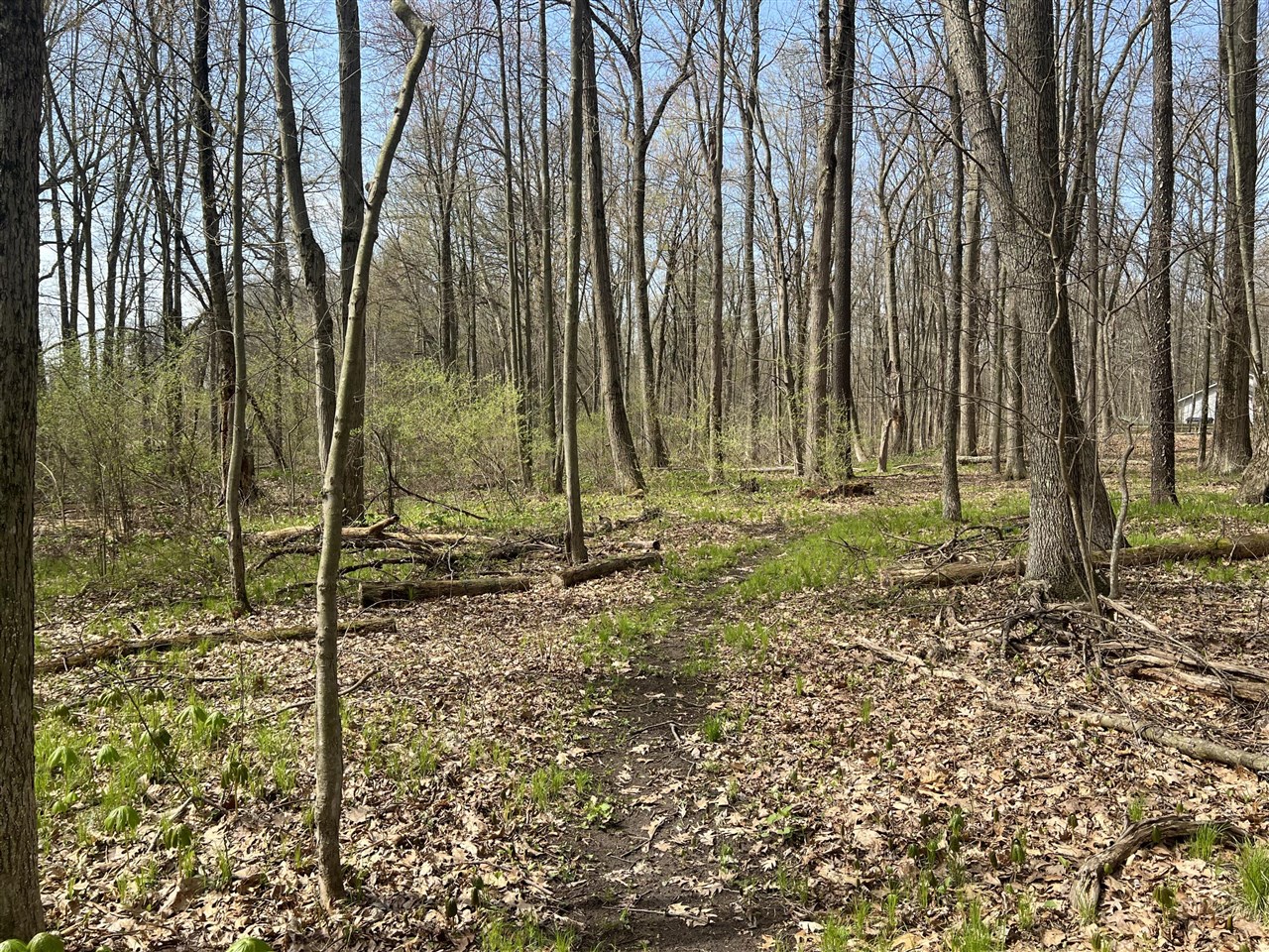 Waterloo Munith Road, Grass Lake, MI, 49240-49240